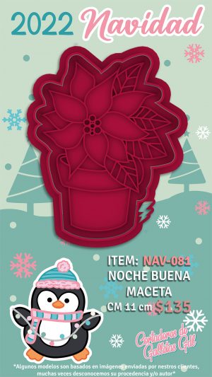 Noche buena Maceta