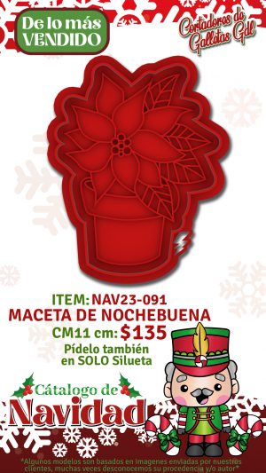 MAceta de nochebuena