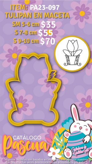 Tulipan en maceta