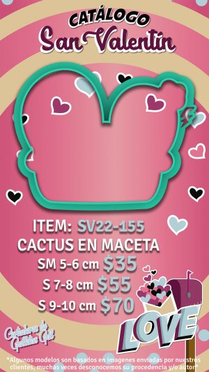 Cactus en maceta
