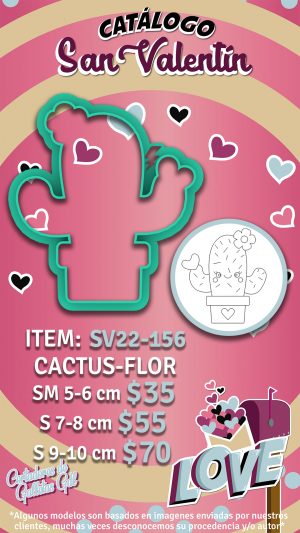 Cactus-flor
