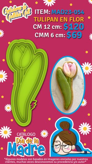 Tulipan en Flor