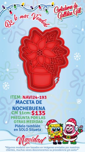 MAceta de nochebuena