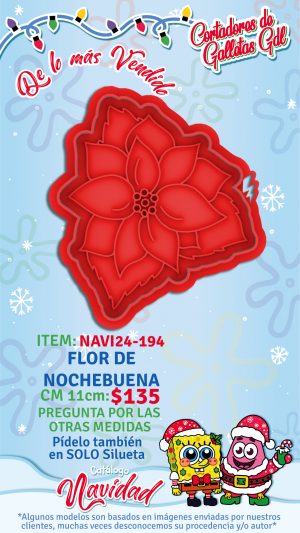 Flor de Nochebuena