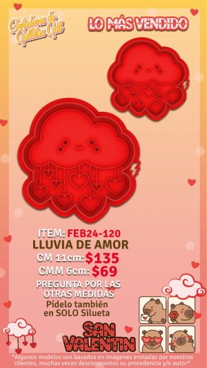 Lluvia de amor