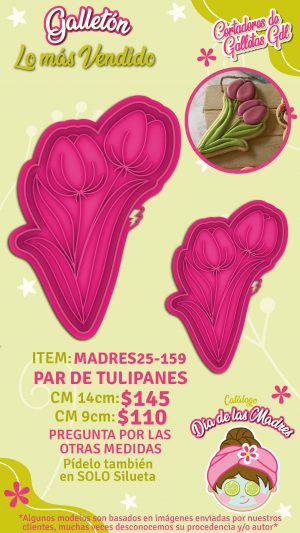 Par de tulipanes