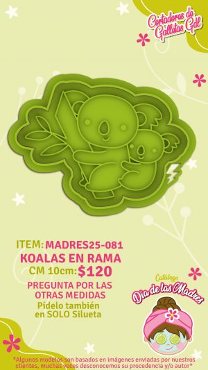 Koalas en rama