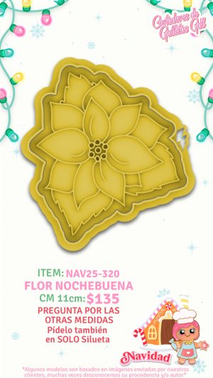 Flor de Nochebuena