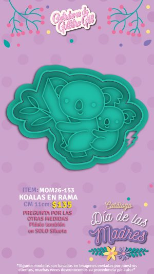 Koalas en rama