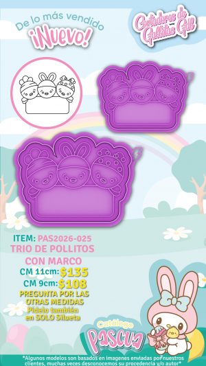 Trio de pollitos con marco